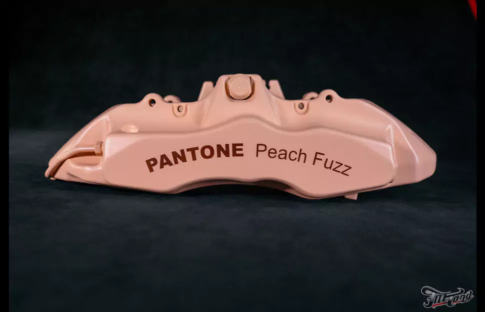 Суппорта в цвете 2024 года от Pantone Peach Fuzz